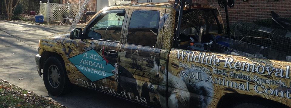 A All Animal Control Service Van Charlotte | Charlotte Wildlife Removal