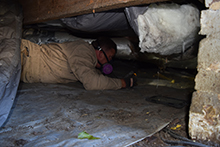 crawlspace-cleanout