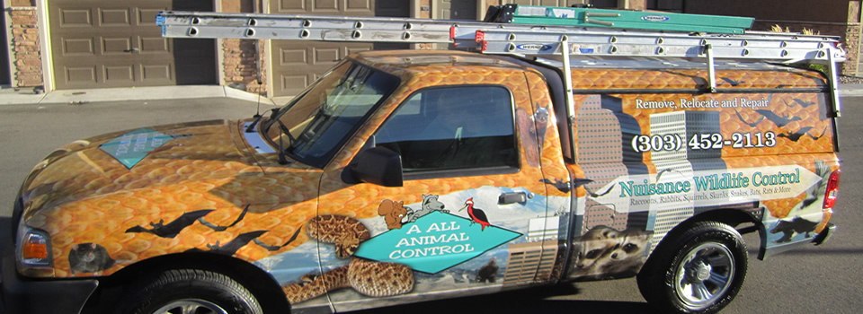 Service Van- A All Animal Control | Fort Collins Wildlife Removal