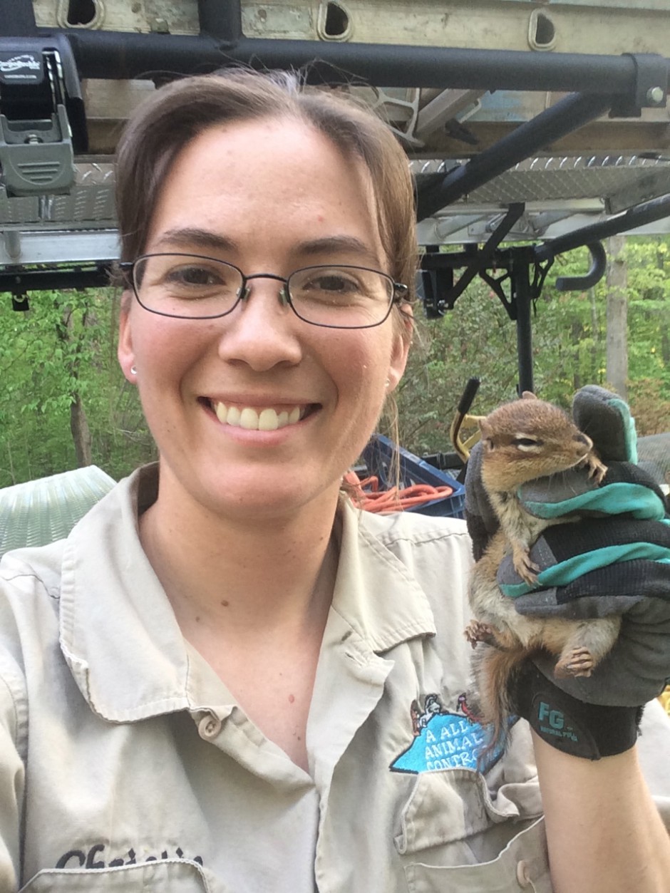 Animal Removal & Control Greensboro NC AAAC Wildlife Removal