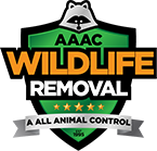 Animal Removal & Control Greensboro NC - AAAC Wildlife Removal