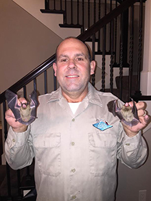 kansas city bat removal