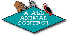 A All Animal Control