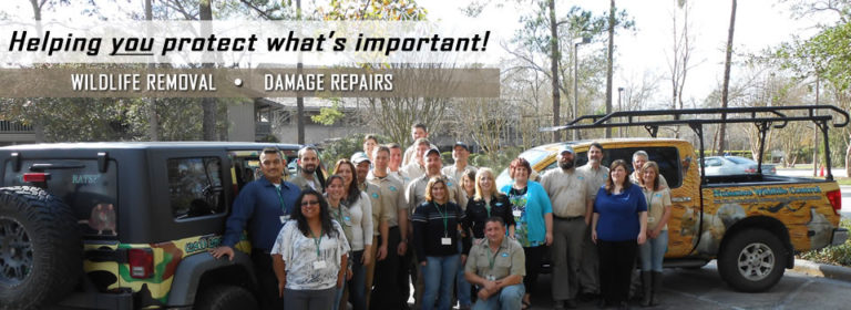 Animal Removal, Wildlife Control, Damage Repair San Bernardino Animal Removal, Wildlife Control, Damage Repair San Bernardino