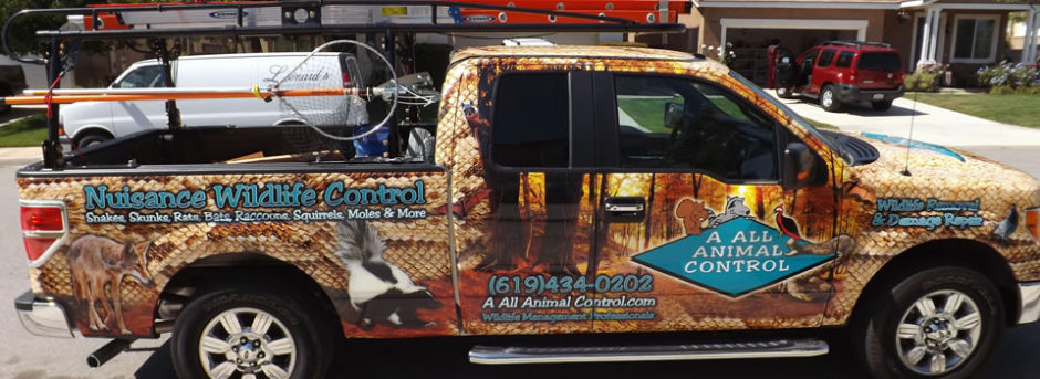 Animal Control, Animal Removal San Diego California