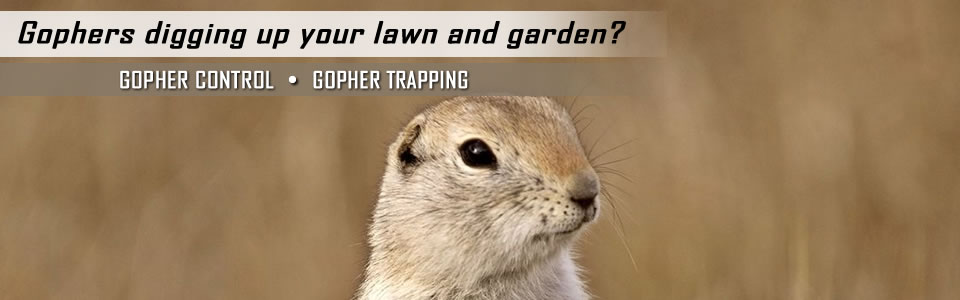 gopher-control-slider