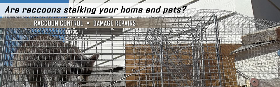 raccoon-control-slider