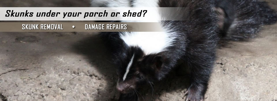 skunk-control-slider