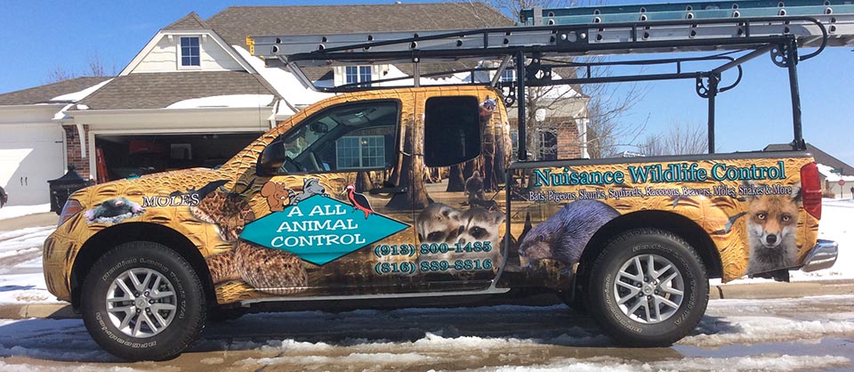 A All Animal Control- Tulsa Truck | Tulsa Wildlife Removal