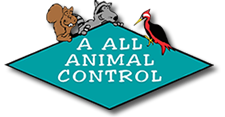 A All Animal Control Animal Removal Locations
