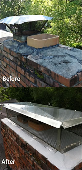 animal damage repair