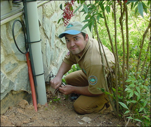 Wildlife Exclusion Services - AAAC Wildlife Removal of Roanoke