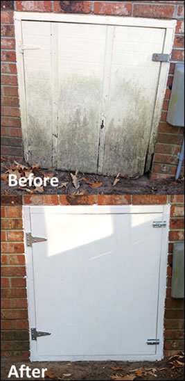 wildlife damage repair