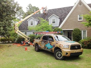 Bat control in Pikeville